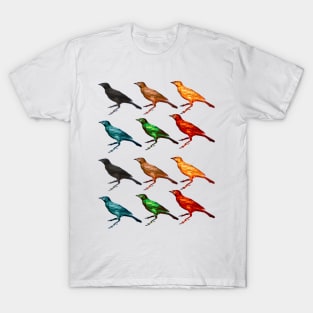 Colorful Birds T-Shirt